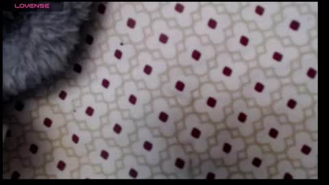 lildragon069 online show from December 2024 09:28:02 AM