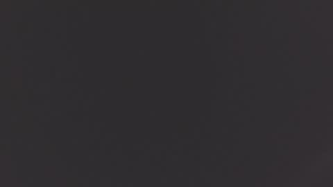 emily ryanson online show from September 2025 10:37:02 PM