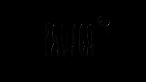 lilpresident online show from December 2024 04:11:02 PM