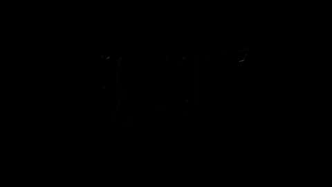 lilpresident online show from February 2025 10:13:01 PM