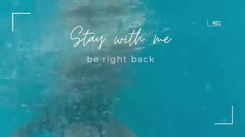 Lily online show from September 2025 05:42:01 AM