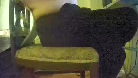 lilylovelyman50 online show from June 2026 12:02:01 PM
