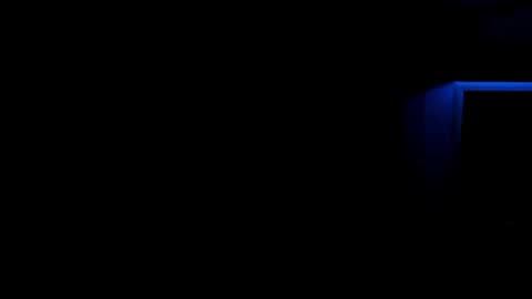 Snapshot of lina_vi chatting on December 2024 05:47:01 AM Lina online show from December 2024 05:47:01 AM