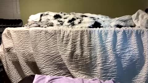 Richie Rich online show from December 2024 07:10:01 PM