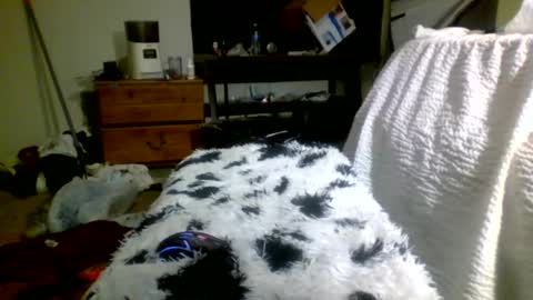 Richie Rich online show from December 2024 05:13:01 PM