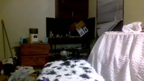 Richie Rich online show from December 2024 08:15:01 PM