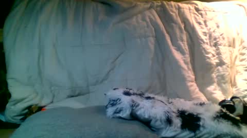 Richie Rich online show from January 2025 02:39:02 AM