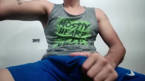 lion_20cm online show from September 2025 01:00:01 AM