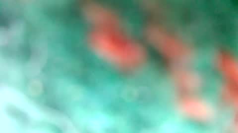 lionelearthquake online show from March 2025 04:18:01 PM