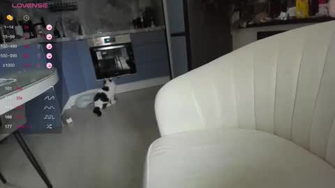 Lisa online show from March 2026 04:24:04 AM