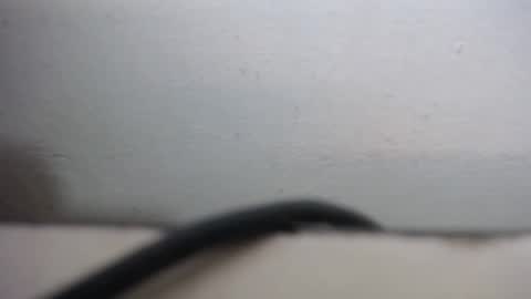 Snapshot of lisa_branch chatting on September 2025 10:27:01 AM lisa_branch online show from September 2025 10:27:01 AM