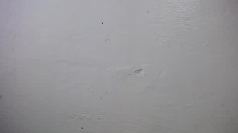 Snapshot of lisa_branch chatting on October 2025 10:24:01 AM lisa_branch online show from October 2025 10:24:01 AM