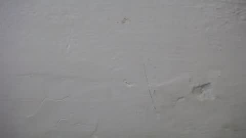 Snapshot of lisa_branch chatting on October 2025 07:11:02 PM lisa_branch online show from October 2025 07:11:02 PM