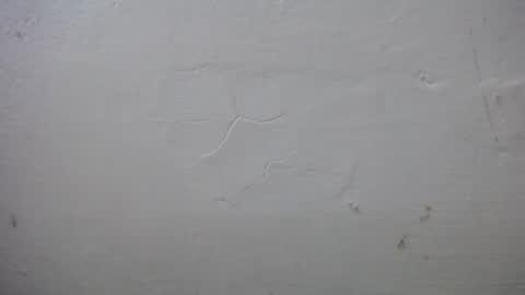 Snapshot of lisa_branch chatting on October 2025 07:25:02 PM lisa_branch online show from October 2025 07:25:02 PM