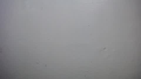 Snapshot of lisa_branch chatting on October 2025 10:16:02 AM lisa_branch online show from October 2025 10:16:02 AM