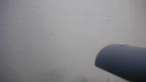 Snapshot of lisa_branch chatting on November 2025 07:02:02 PM lisa_branch online show from November 2025 07:02:02 PM