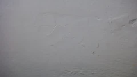 Snapshot of lisa_branch chatting on November 2025 10:37:01 AM lisa_branch online show from November 2025 10:37:01 AM