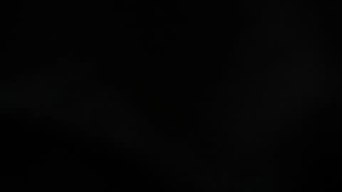 Lisa  online show from October 2025 11:31:01 AM