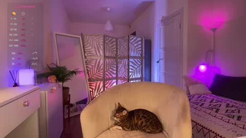 Snapshot of lisamaybe chatting on November 2025 04:40:01 PM Lisa online show from November 2025 04:40:01 PM