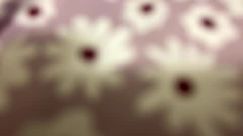 litos666 online show from February 2026 04:32:01 AM