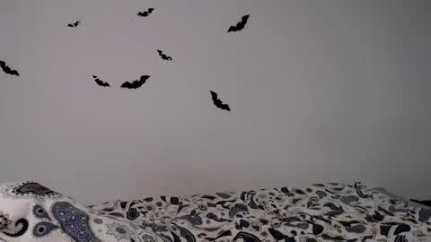 Snapshot of little_owlx chatting on November 2025 06:17:01 PM Alice.. online show from November 2025 06:17:01 PM