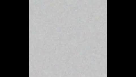 Snapshot of little_owlx chatting on November 2025 08:14:01 AM Alice.. online show from November 2025 08:14:01 AM