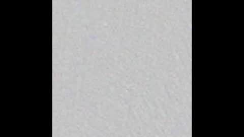 Snapshot of little_pearl_ chatting on February 2026 05:26:01 AM Adaline online show from February 2026 05:26:01 AM