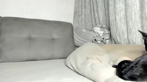 my Instagram  online show from February 2026 06:09:01 PM