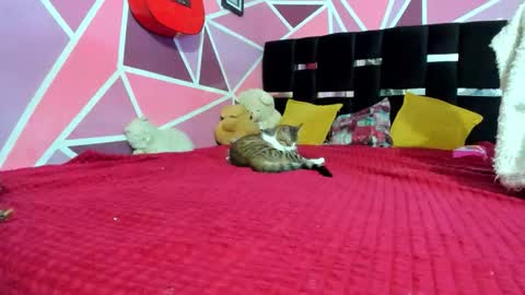          --- Onlyfans Free --  online show from December 2025 03:02:01 AM