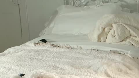 Audra A online show from February 2025 11:16:02 PM