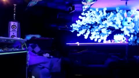 Snapshot of littlemissmarly chatting on January 2025 08:09:02 AM GentleViolet online show from January 2025 08:09:02 AM