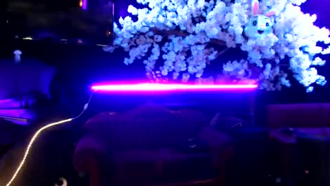 Snapshot of littlemissmarly chatting on January 2025 05:52:02 AM GentleViolet online show from January 2025 05:52:02 AM