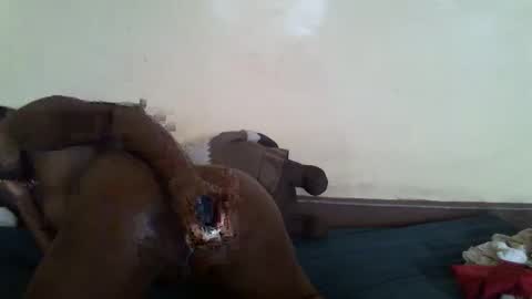 littlesandie online show from March 2025 12:04:02 PM