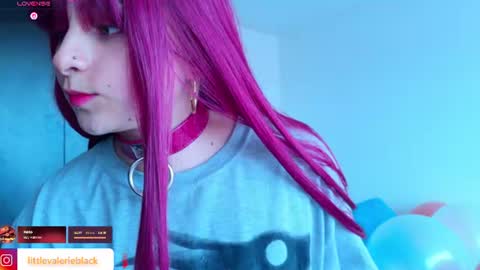 Snapshot of littlevalerie chatting on June 2026 10:12:02 PM Valerie online show from June 2026 10:12:02 PM