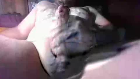 litwinpaweel online show from December 2025 08:26:01 PM