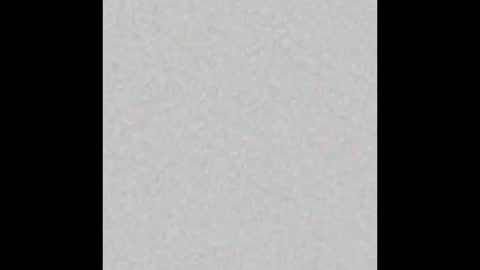 Liz  online show from February 2025 11:39:02 AM