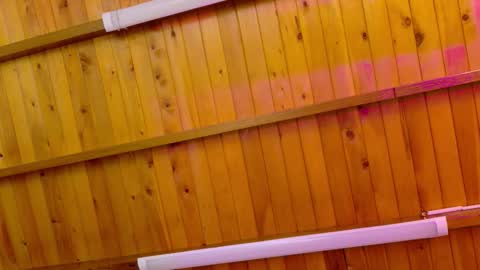  LIZBETH ROSS  online show from January 2026 10:20:01 AM