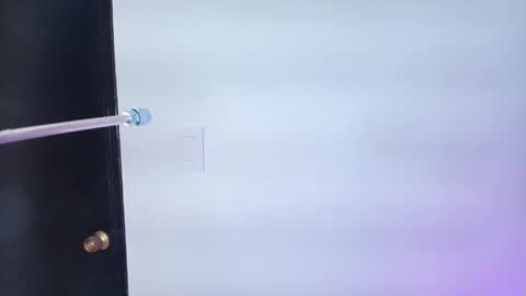 Lizz  online show from February 2025 11:54:01 AM