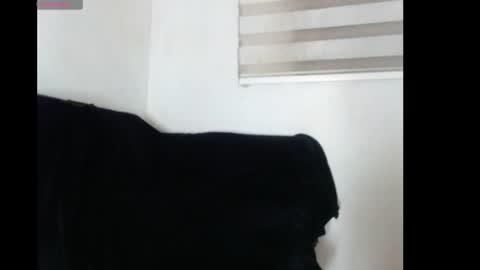 Snapshot of logan_s18 chatting on July 2026 08:06:01 AM LOGAN online show from July 2026 08:06:01 AM