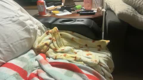 logical12345 online show from December 2025 03:22:01 AM