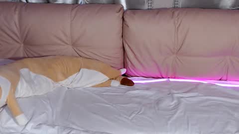 Snapshot of lolacash777 chatting on February 2026 08:26:01 PM lolacash777 online show from February 2026 08:26:01 PM