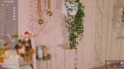 Lolly online show from February 2025 11:15:01 AM