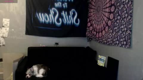 londonray online show from October 2025 06:11:01 AM