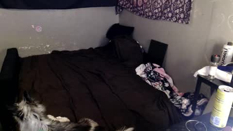 londonray online show from March 2026 08:23:02 PM