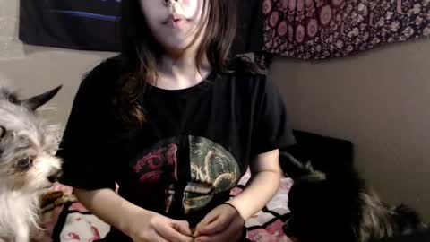 londonray online show from May 2026 11:02:01 PM