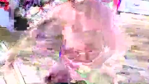 look4fun316 online show from November 2025 01:48:02 AM