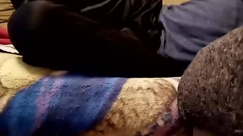 looking4bush online show from November 2025 06:01:01 AM