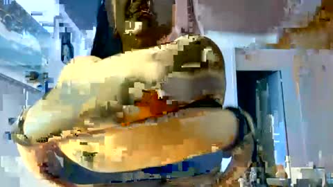 loolaunshaved online show from July 2026 07:32:01 PM