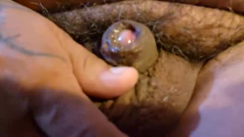 2791 3D online show from March 2026 12:58:02 AM