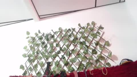 lorena  allison online show from October 2025 08:32:01 PM